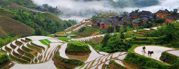 Guilin Longji Terraced Fields