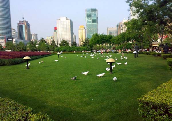 The People's Square Pictures | China Pictures