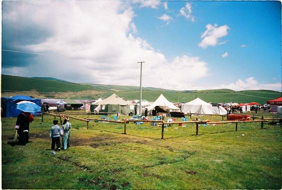 Tibet travel of grassland