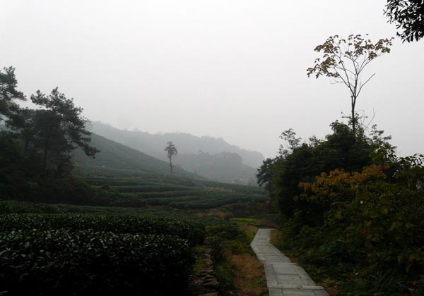 Hangzhou Daqing Valley