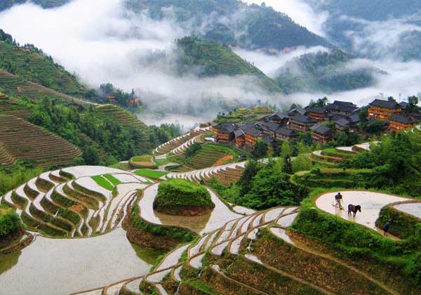 Guilin Longji Terraced Fields, China Travel, China Tour