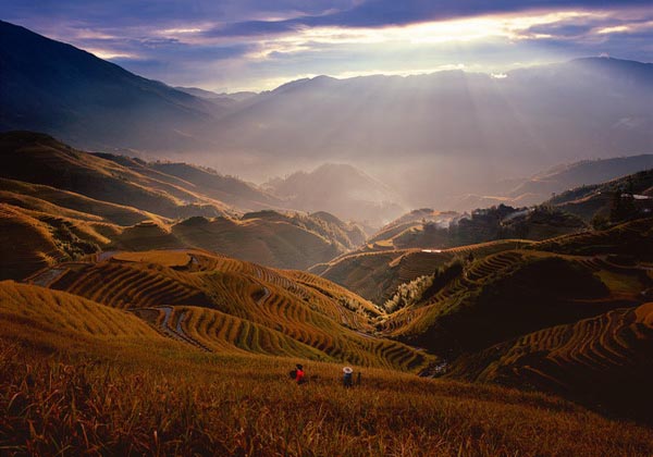 Guilin Longji Terraced Fields