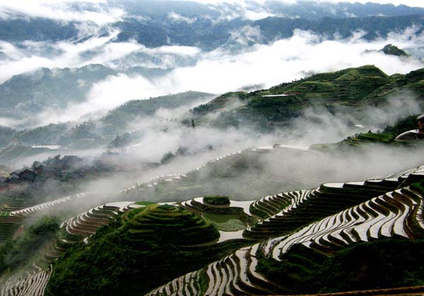 Terraced Fields China, Longji China, China Tours