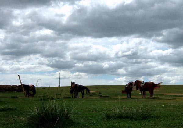 Hohhot Xilamuren Grassland