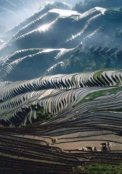 Guilin Travel, Guilin Tour, Guilin Tours