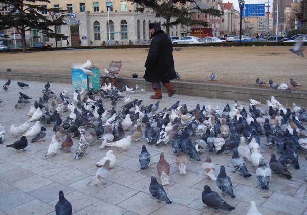 dalian-zhongshan-square-tour