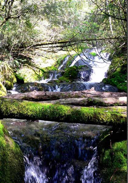 shennongjia-national-forest-park