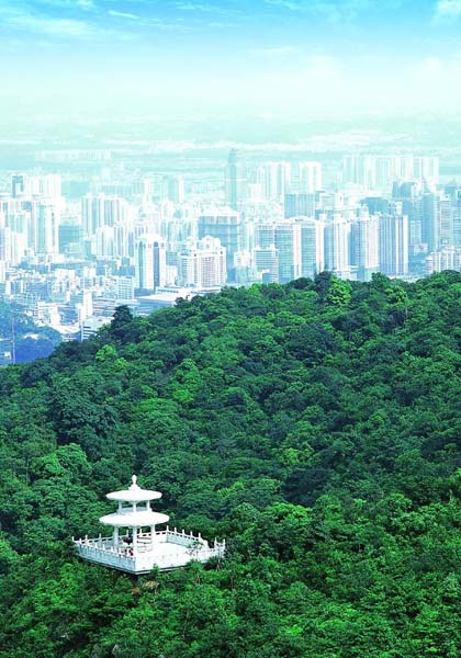 Dongguan China