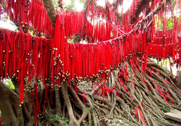hainan-china-pictures
