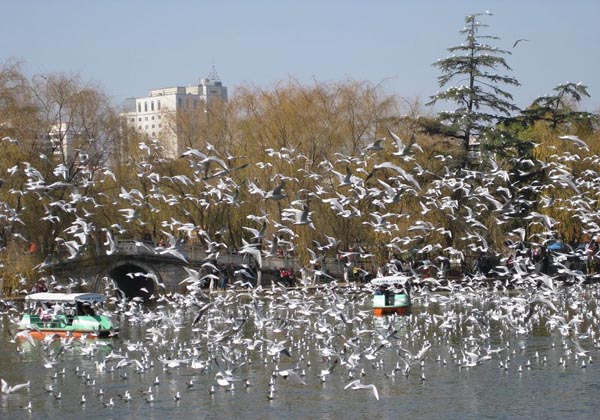 kunming-china