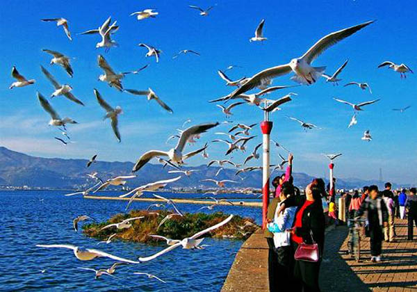 kunming-travel