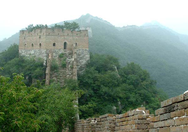 wolong-natural-tours
