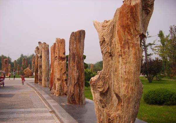 Shijiazhuang Baoduzhai Travel