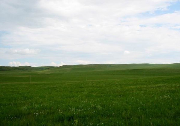 bayan obo grasslands pictures