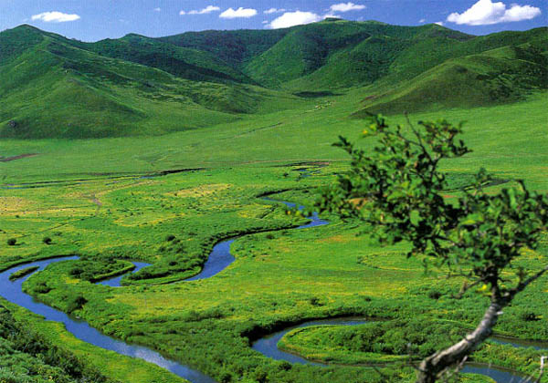 hohhot hasuhai tours