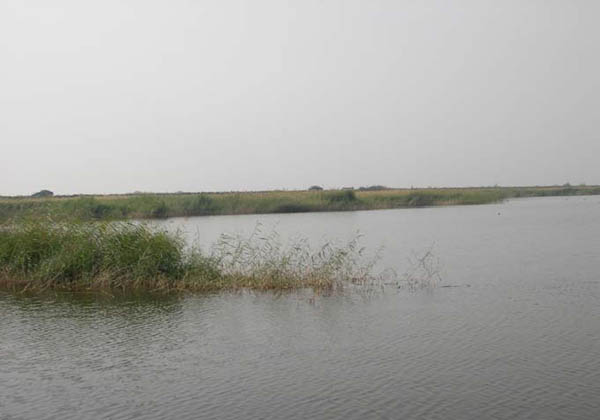 nanhai park