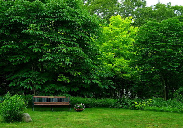 qingliang mountain scenery travel