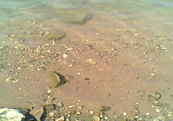 shijiazhuang panlong lake travel shijiazhuang panlong lake travel
