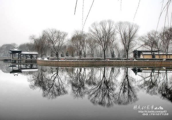 wei zheng park