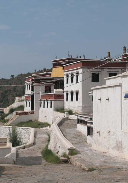 wudangzhao pictures
