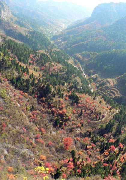 xiantai-mountain