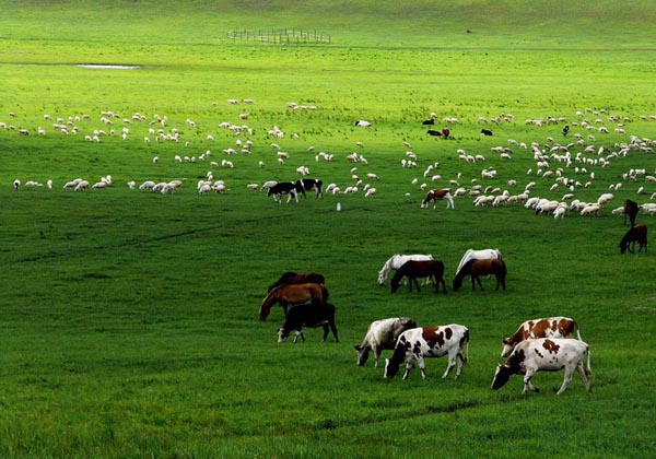 mulanweichang-travel-pictures