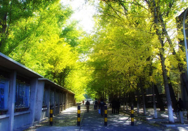 china-pictures-of-chanlinsi-landscape-gardening, china travel