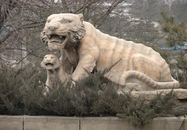 China Tour – Taiyuan Zoo