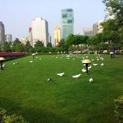 Shanghai Travel – The People’s Square